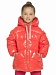 Куртка для девочек (GZXW3253/2) Pelican - цвет Коралловый